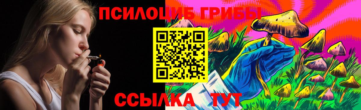 Сочи  Галлюциногенные грибы Psilocybe  Вход с VPN 